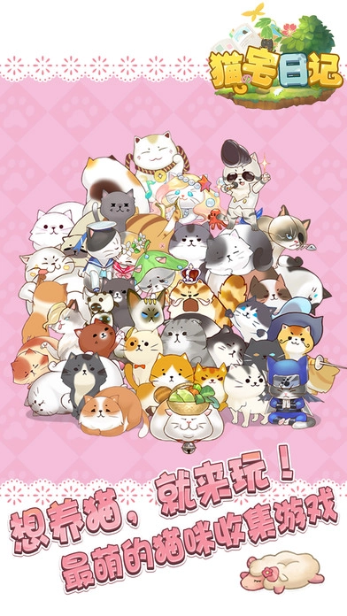 猫宅日记游戏官方最新版