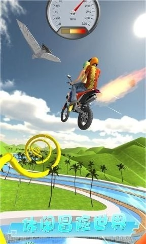坡道闯关3D游戏无广告版