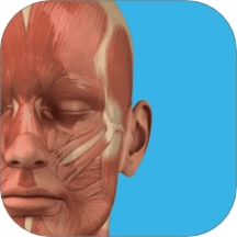 三维人体解剖学图谱免费原版