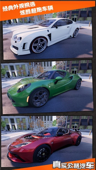 真实公路汽车最新版图2