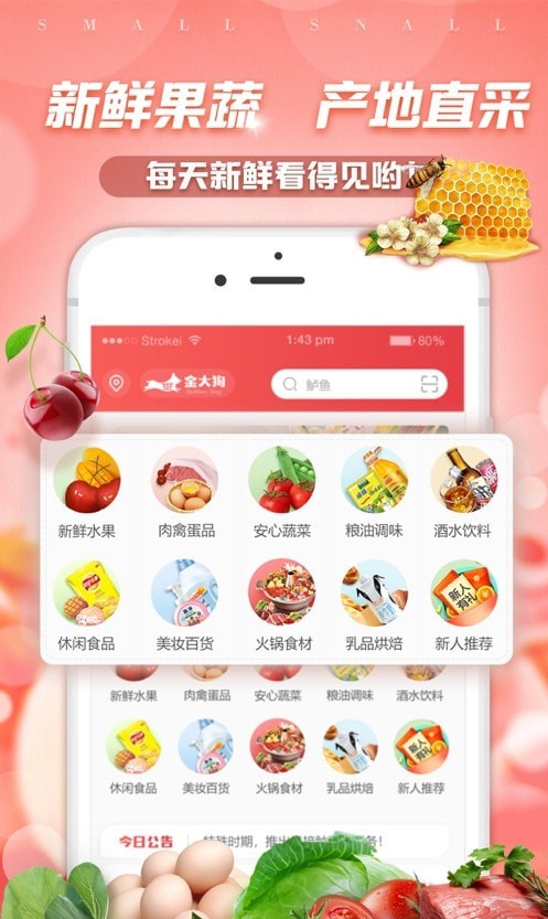 金大狗到家(3)