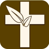 伴读圣经安卓直装版