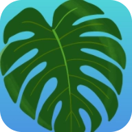 植物疗愈：纽约时光器安卓官方版