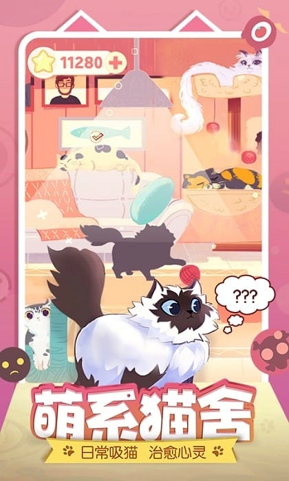 左瞄右喵游戏官方版