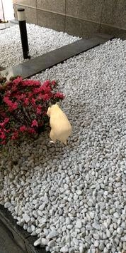 我的仓鼠免费原版