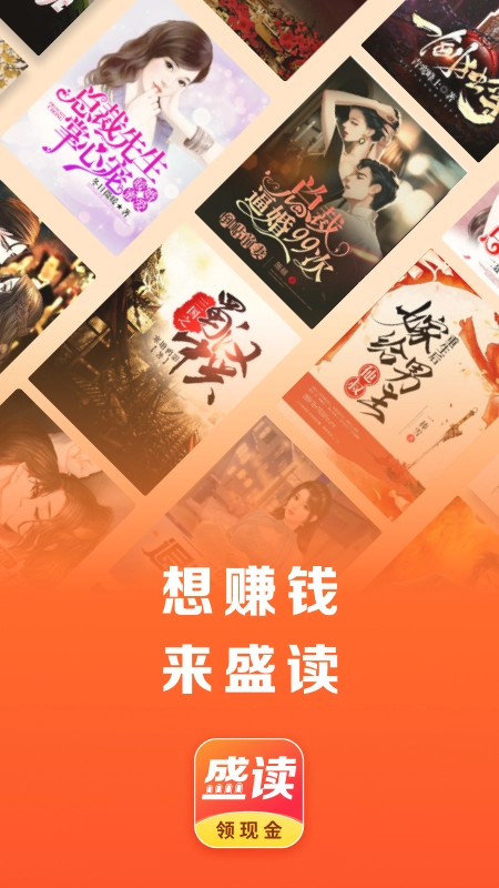 盛读小说安卓官方版图4
