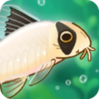 Pondlife器游戏纯净最新版