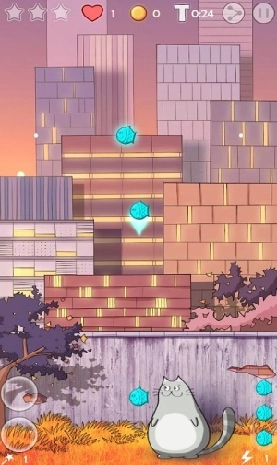 饼干猫官方正版