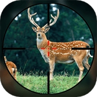 模拟丛林猎杀安卓官方版