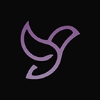 隐私浏览器官方正版