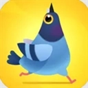 疯狂的鸽子游戏安装包