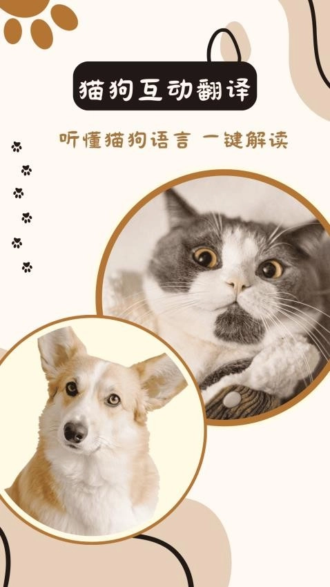 猫狗互动翻译通用版图3