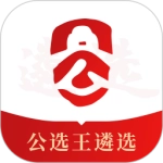 公选王
