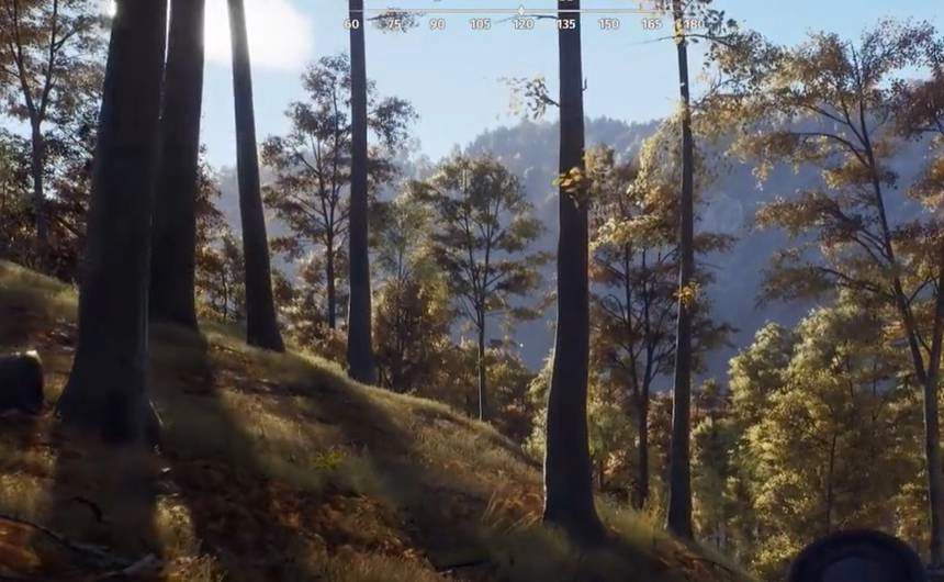 荒野猎人模拟器游戏绿色版图4