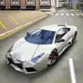 真实赛车狂飙直装版