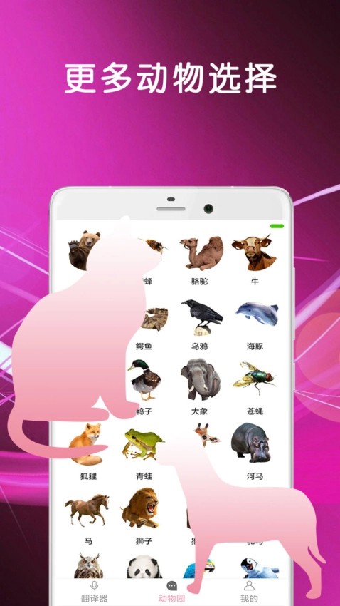 猫语翻译安卓直装版