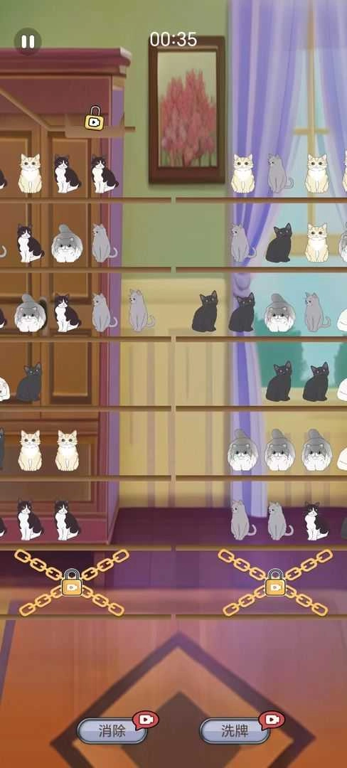 填空猫猫直装版