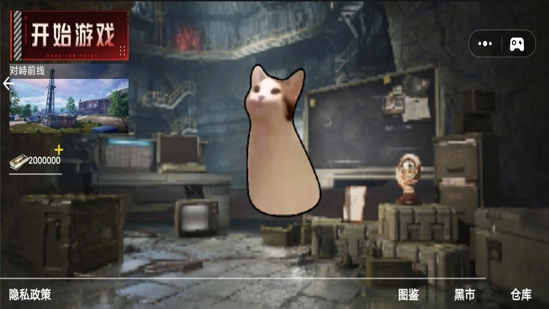 修猫枪战逃生手机版图2
