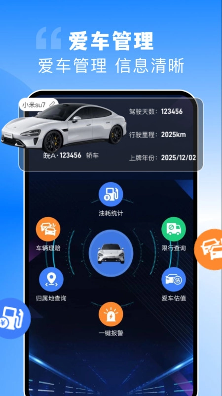 123违章助手速查手机免费版图2