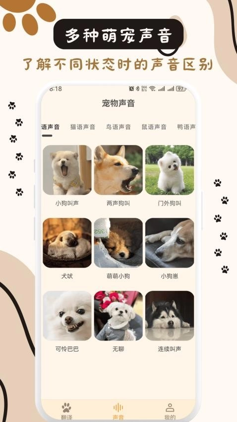 猫狗互动翻译通用版图1