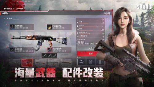 代号Spark游戏无广告版图3