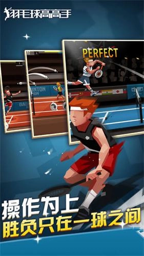 羽毛球高高手电脑版图1