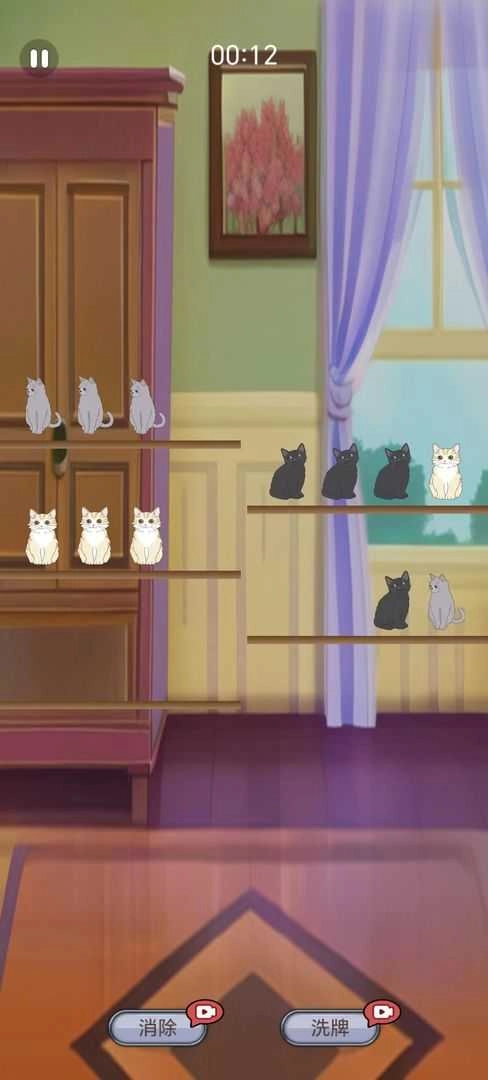 填空猫猫直装版