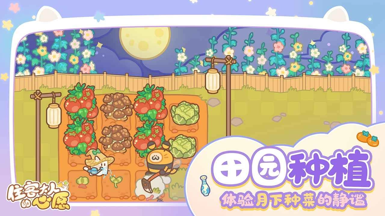 住客大人的心愿手机正版图3