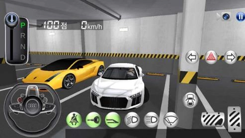 3D驾驶课直装游戏版