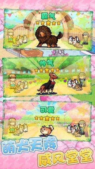 发现狗狗乐园游戏纯净版图4