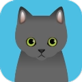 可爱猫咪满满安卓版
