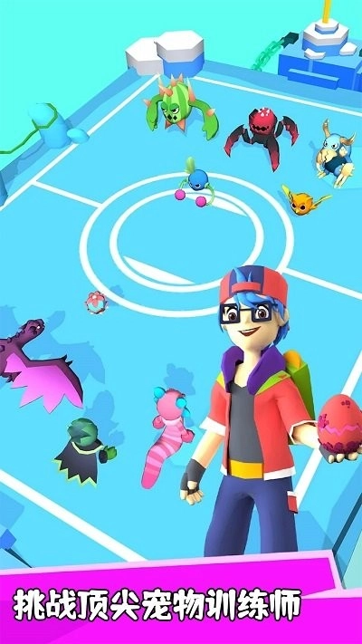 宠物养成大师直装游戏版