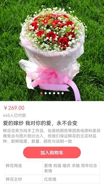 鲜花网免费原版