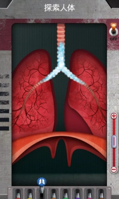 人体是如何运作的？器最新版