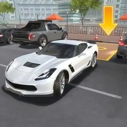 全能停车达人免费原版