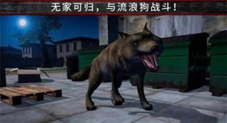 荒野流浪记游戏最新版