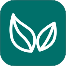 开放绿能直装版