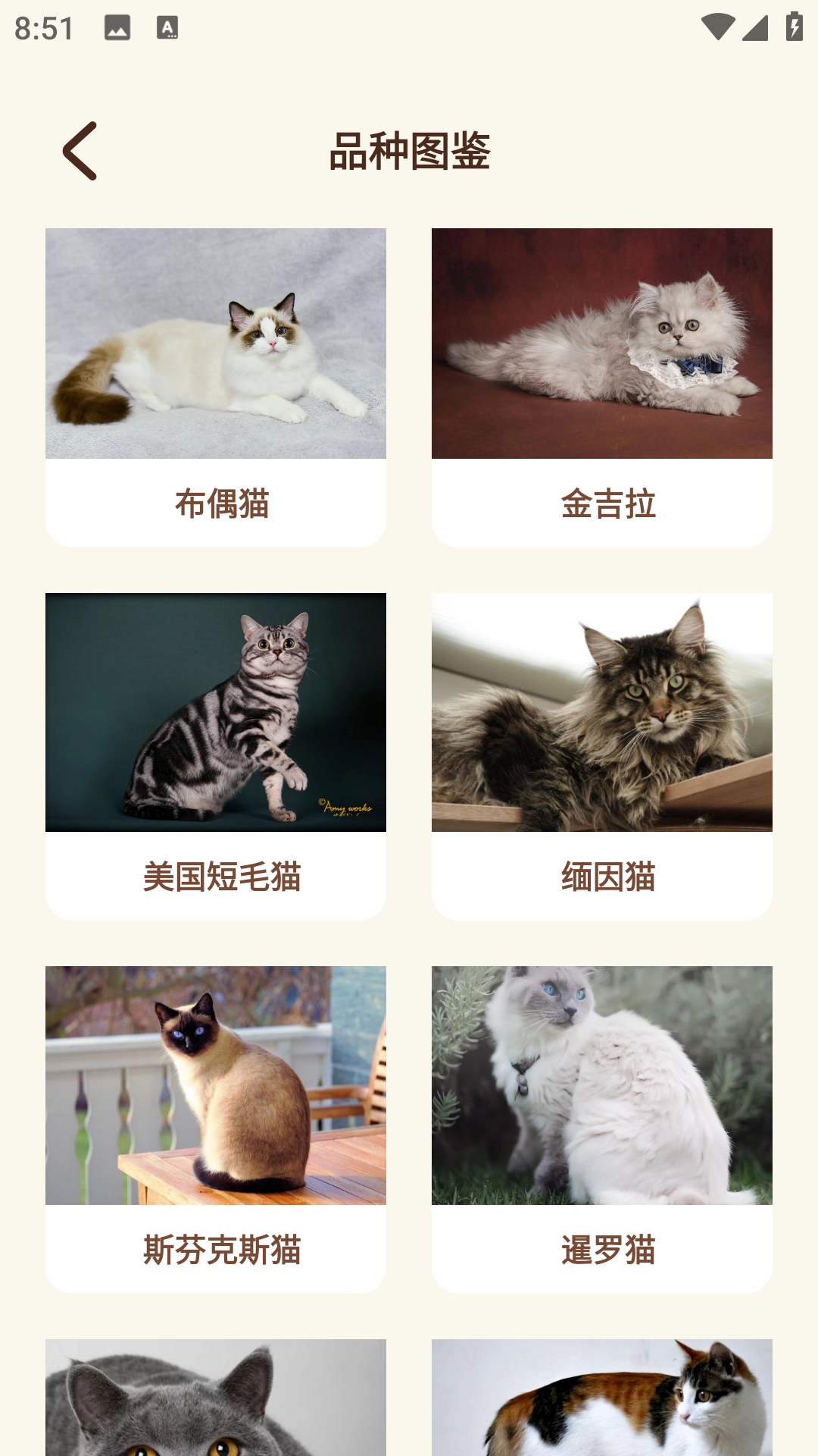 Peppycat猫语翻译器软件官方正版