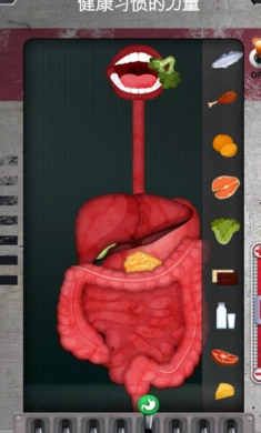 人体是如何运作的？器最新版