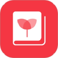 黄浦早教软件安卓免费版