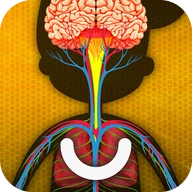 人体是如何运作的？器最新版