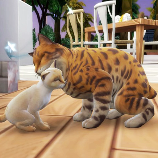 猫咪想恋爱安卓版