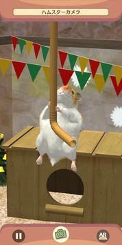 我的仓鼠免费原版