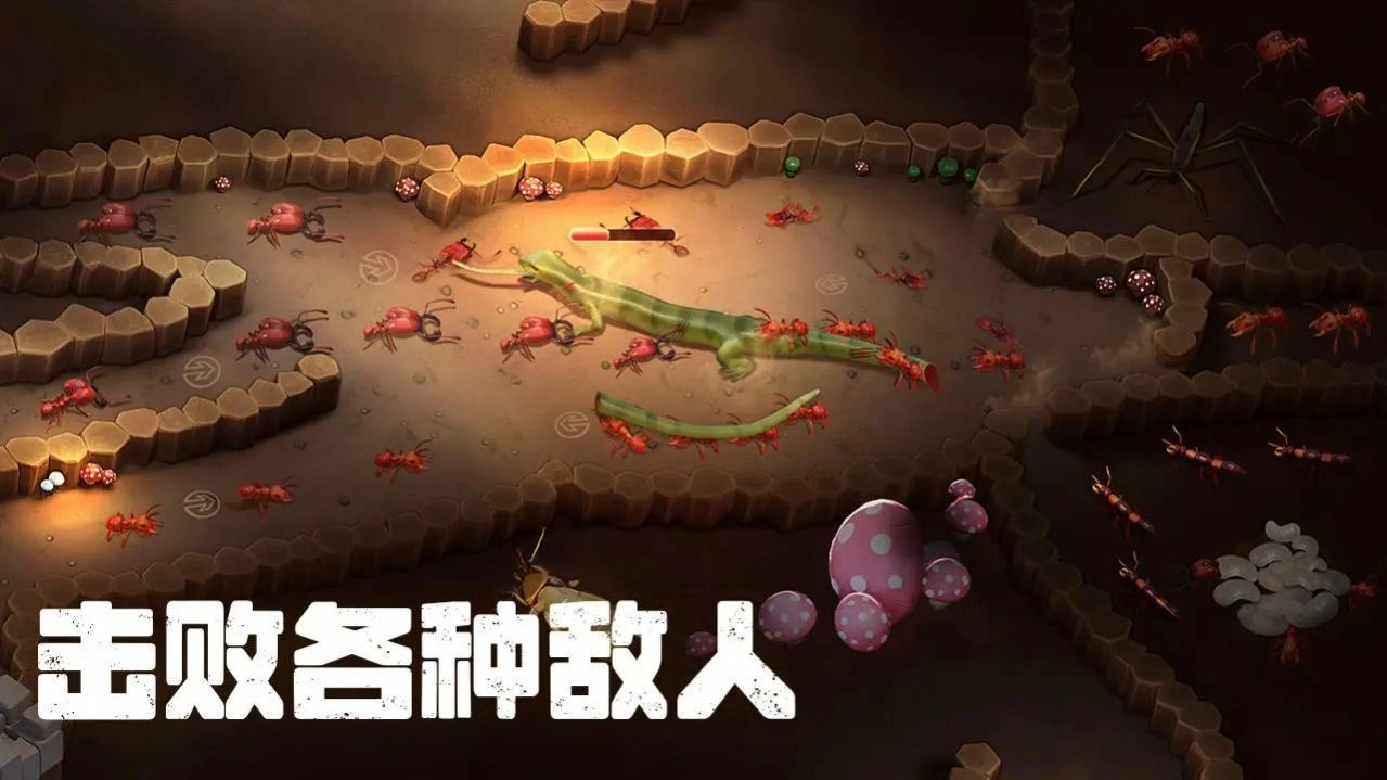 蚂蚁打不过游戏最新版