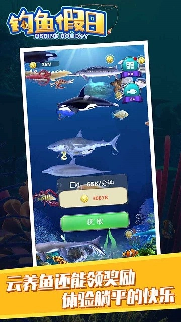 钓鱼假日直装版