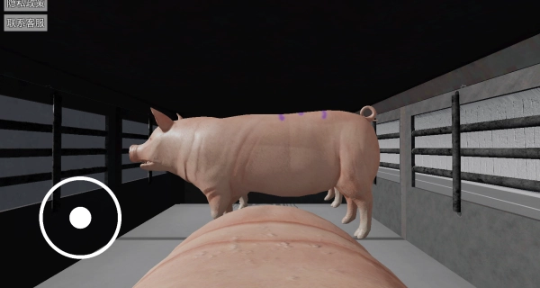 我只想躺游戏纯净版