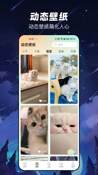 梦幻乐园壁纸安卓官方版