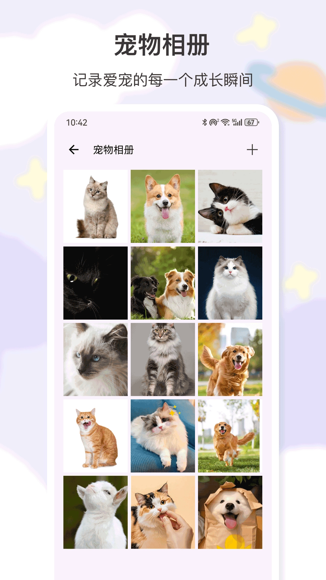 猫叫安卓官方版