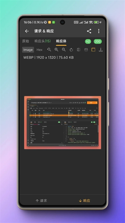 小黄鸟抓包软件手机正版