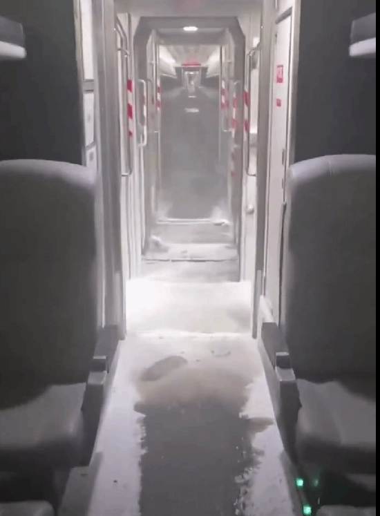 纽约遭遇暴雪袭击！列车车厢被冰雪覆盖网友：这场景太像雪国列车了